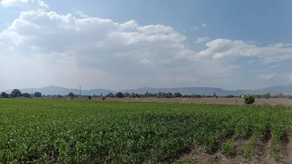 Terreno en venta en Amazcala, El Marqués — foto 3 de 11