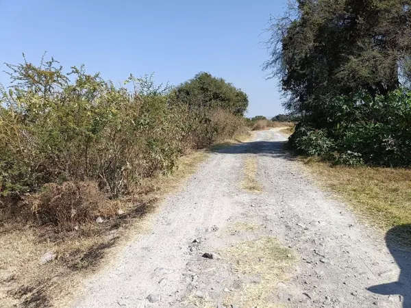 Terreno en venta en El Romeral, Corregidora — foto 2 de 11
