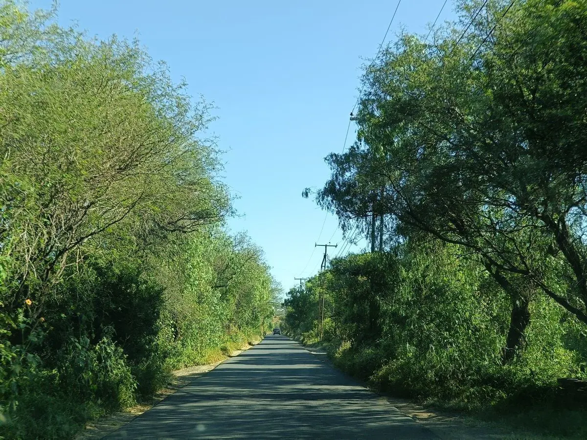 Terreno en venta en Ejido Purísima de Cubos, Colón — foto 1 de 14