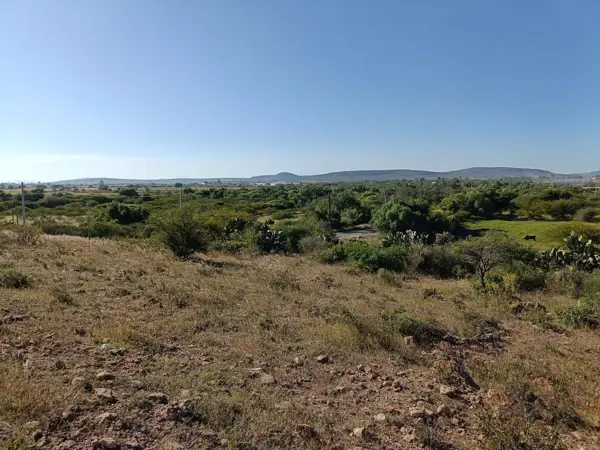 Terreno en venta en Ejido Purísima de Cubos, Colón — foto 2 de 14