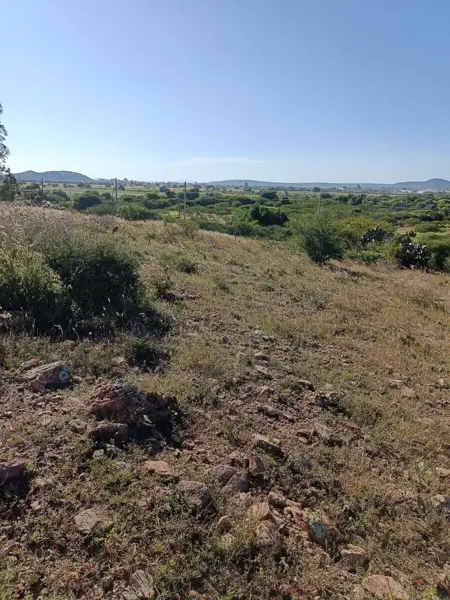 Terreno en venta en Ejido Purísima de Cubos, Colón — foto 3 de 14