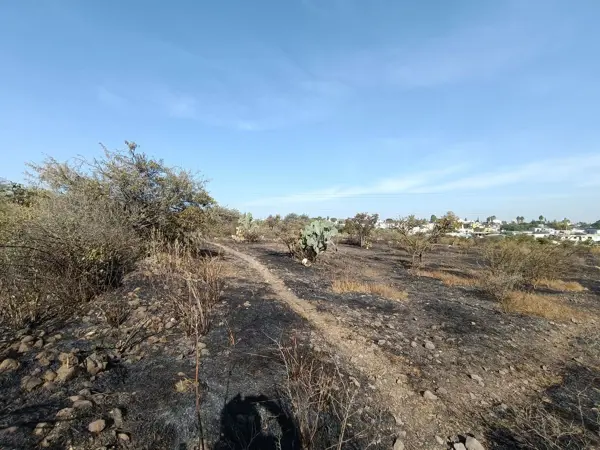 Terreno en venta en San Isidro Miranda, El Marqués — foto 2 de 12
