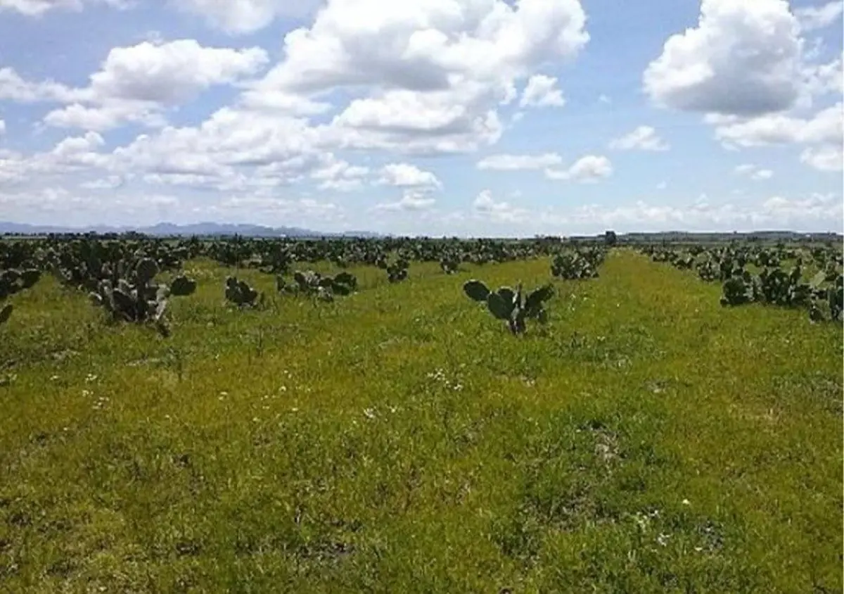 Terreno en venta en Zen Life Residencial I, El Marqués — foto 1 de 4