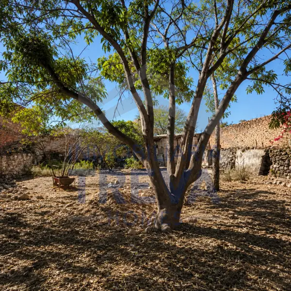 Terreno en venta en Nuevo Banthi (ampliacion Banthi), San Juan del Río — foto 2 de 3