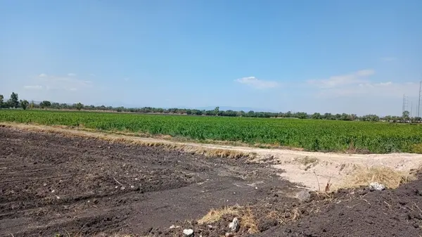 Terreno en venta en La Norita, Apaseo El Grande — foto 2 de 5