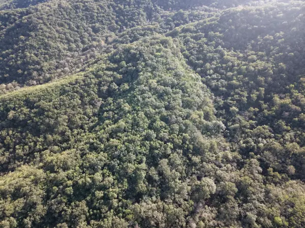 Terreno en venta en Ojo de Agua, Montemorelos — foto 3 de 4