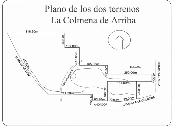 Terreno en venta en La Colmena de Arriba, Allende — foto 2 de 3