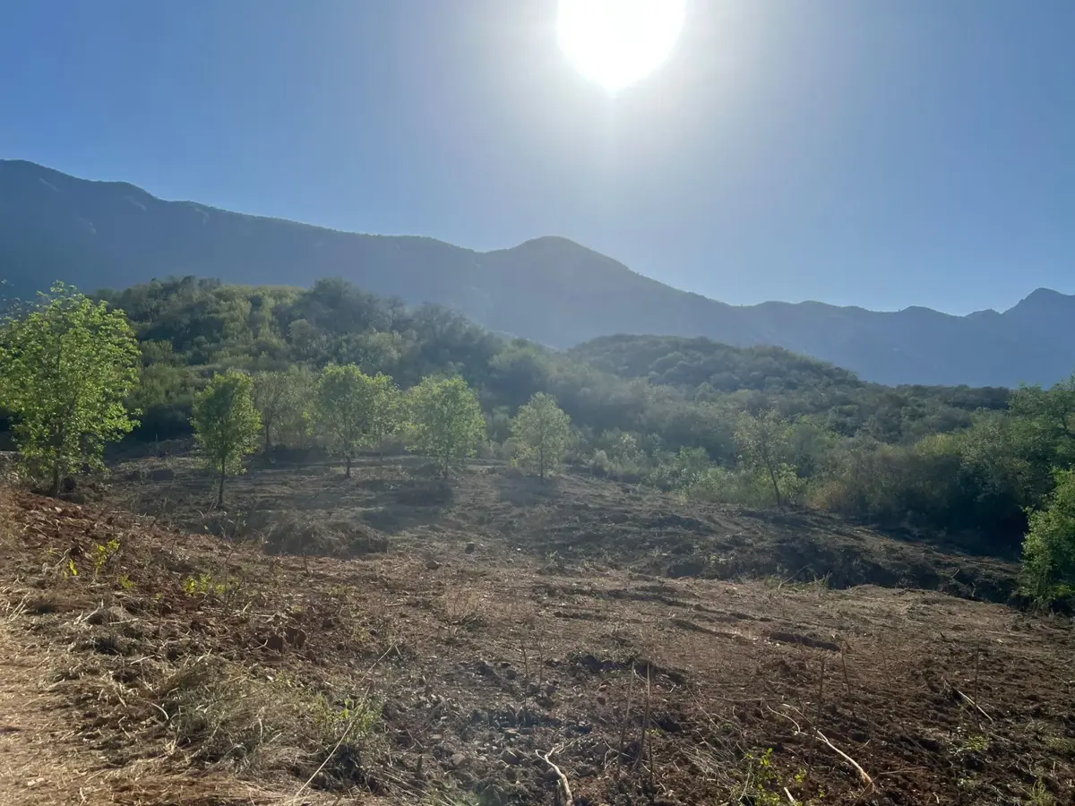TERRENO EN VENTA, 14HA, LA COLMENA DE ARRIBA, ALLENDE NUEVO LEÓN TERRENO EN VENTA, 14HA, LA COLMENA DE ARRIBA, ALLENDE NUEVO LEÓN
