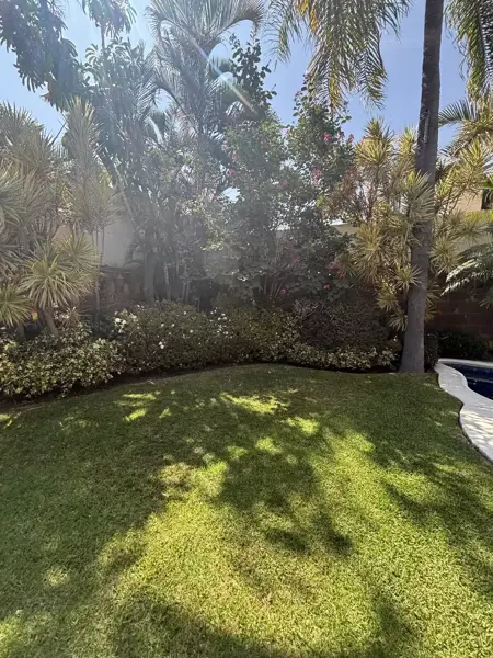 Casa en renta en Vista Hermosa, Cuernavaca — foto 3 de 21