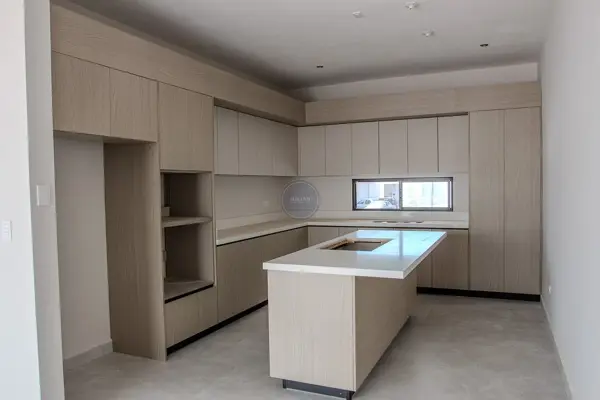 Casa en venta en Huajuquito o los Cavazos, Santiago — foto 2 de 20