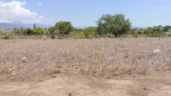 Terreno en venta en Ahuacapan, Autlán de Navarro — foto 2 de 2