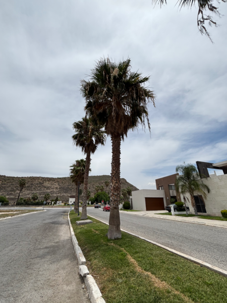 Terreno en venta en Country Club Residencial, Saltillo — foto 3 de 9