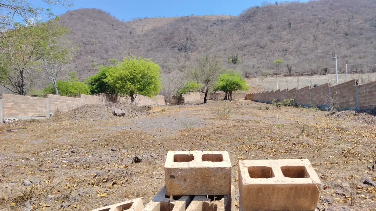 Terreno en venta en Mezquitán (San Francisco de Abajo), Autlán de Navarro — foto 1 de 2