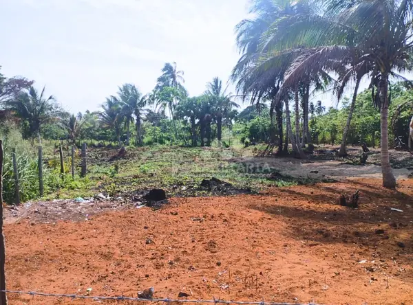 Terreno en venta en Vicente Guerrero, Centla — foto 3 de 6