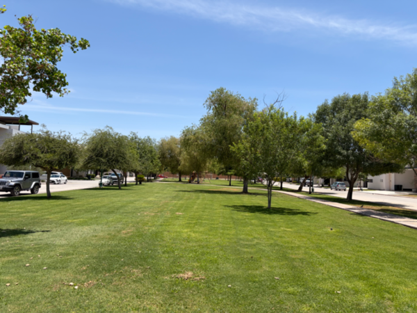 Terreno en venta en Las Villas, Torreón — foto 3 de 6