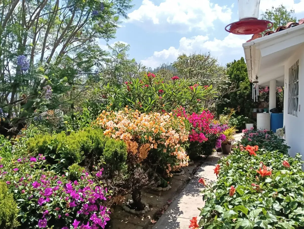 Casa en renta en Llano de San Diego, Ixtapan de la Sal — foto 1 de 23