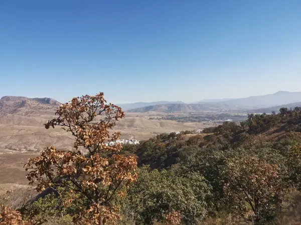Terreno en venta en Ejido Copalita, Zapopan — foto 3 de 16