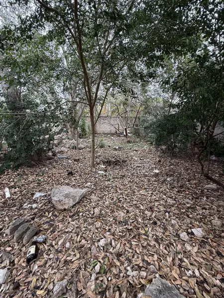 Terreno en venta en Montes de Ame, Mérida — foto 3 de 12