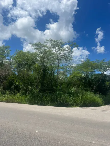 Terreno en venta en Motul de Carrillo Puerto Centro, Motul — foto 2 de 7