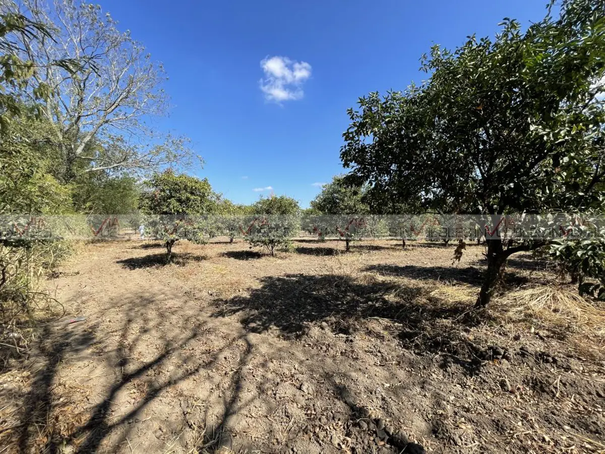 Terreno en venta en Misiones de Río Verde, Linares — foto 1 de 2