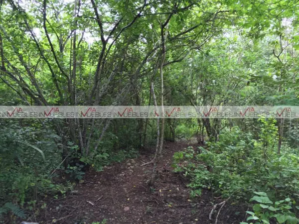 Terreno en venta en Temax, Temax — foto 2 de 8