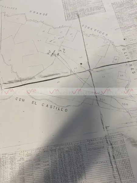 Terreno en venta en Nuevo Repueblo, Doctor González — foto 3 de 8