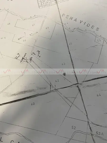 Terreno en venta en Nuevo Repueblo, Doctor González — foto 2 de 8