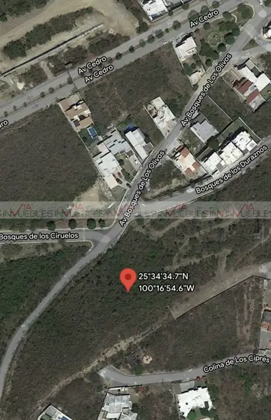 Bosques de Valle Alto