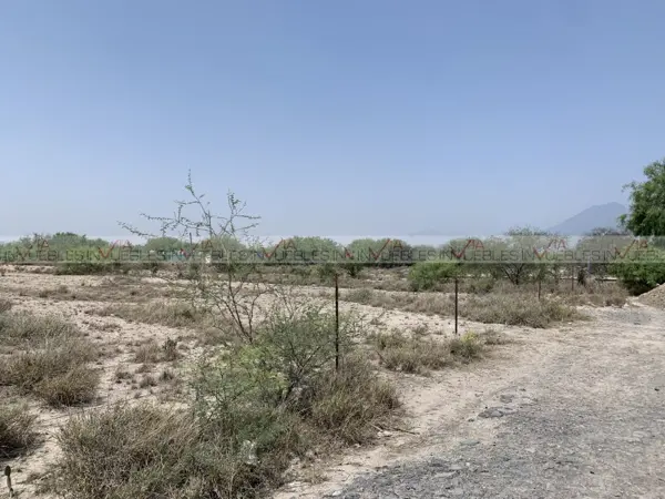 Terreno en venta en El Coyote, Salinas Victoria — foto 3 de 9