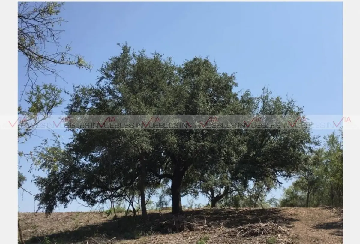 Terreno en venta en El Barrial, Santiago — foto 1 de 13