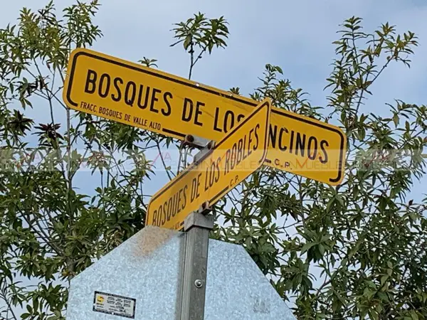 Terreno en venta en Bosques de Valle Alto, Monterrey — foto 2 de 15