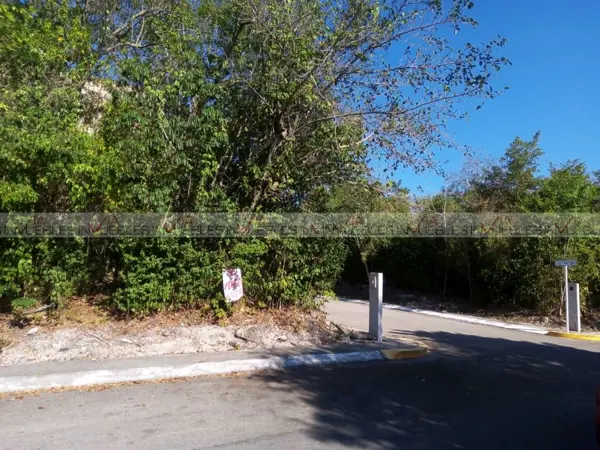 Terreno en venta en Joaquín Zetina Gasca, Puerto Morelos — foto 3 de 13