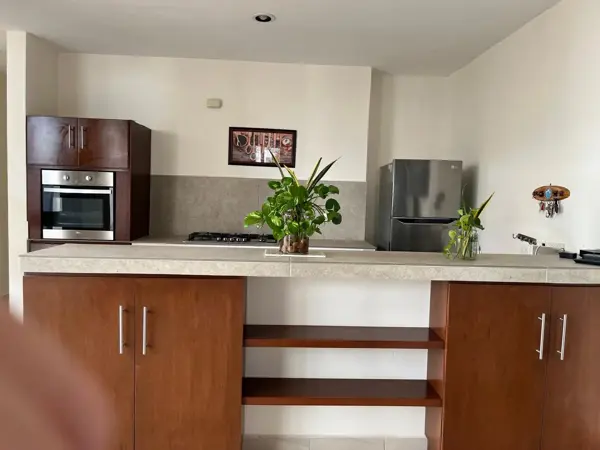 Casa en renta en Temozon Norte, Mérida — foto 3 de 24