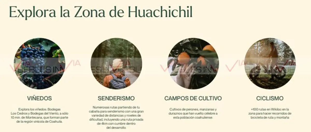 Terreno en venta en Huachichil (El Huache), Arteaga — foto 1 de 14