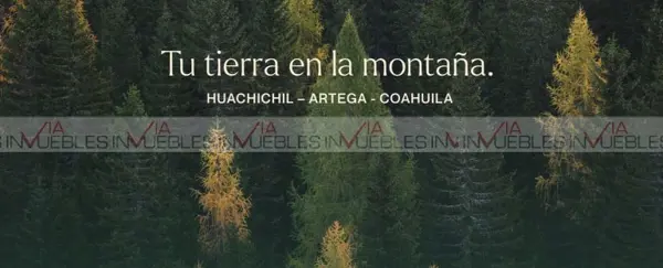 Terreno en venta en Huachichil (El Huache), Arteaga — foto 3 de 14