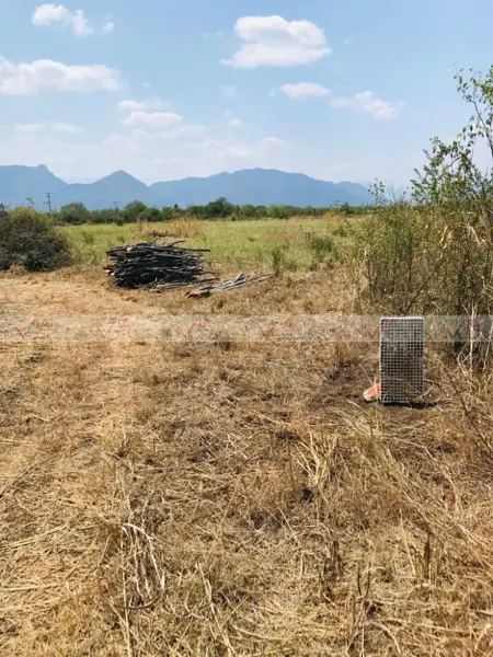 Terreno en venta en Las Palmas, Cadereyta Jiménez — foto 2 de 8