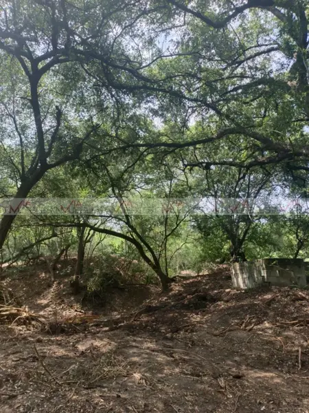 Terreno en venta en El Terrero, Montemorelos — foto 2 de 8