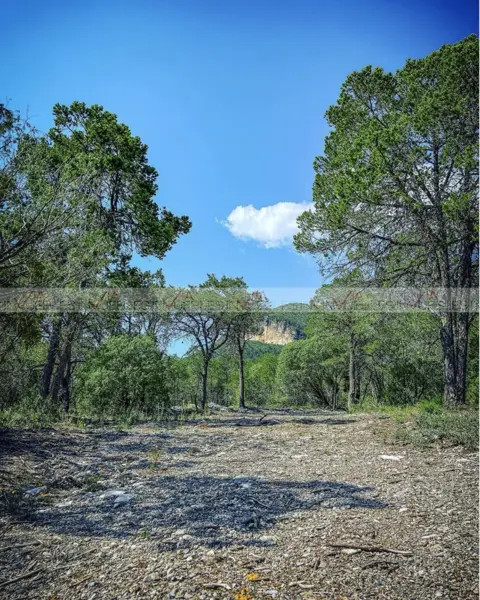 Bosques de Arteaga