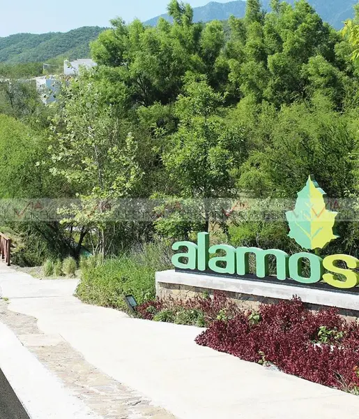 Alamo Sur
