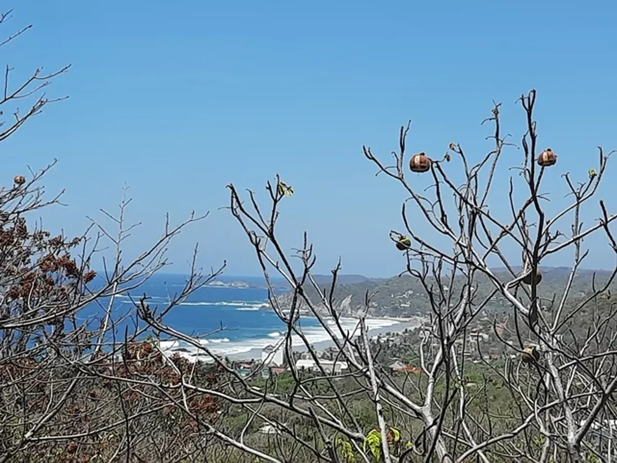 Terreno en venta en Playa Zipolite, San Pedro Pochutla — foto 1 de 6