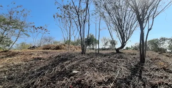 Terreno en venta en Playa Zipolite, San Pedro Pochutla — foto 3 de 6