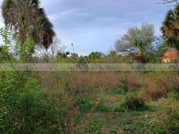 Terreno en venta en La Lobita, Juárez — foto 2 de 17