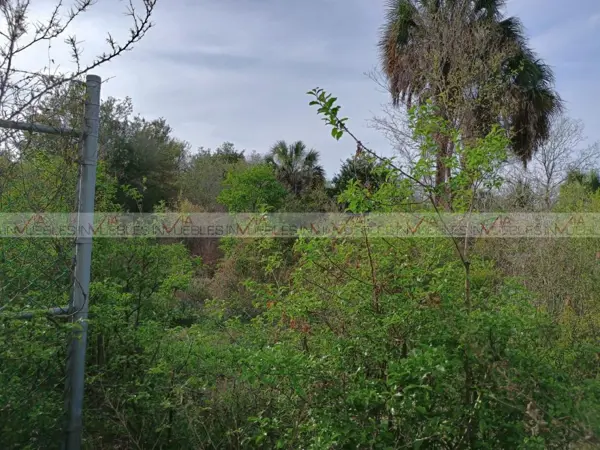Terreno en venta en La Lobita, Juárez — foto 3 de 17