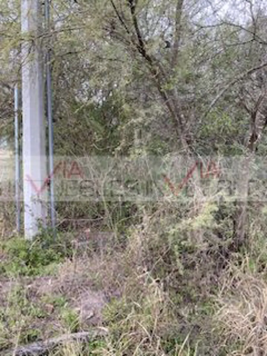 Terreno en venta en Valle Hidalgo (La Cotorra), Montemorelos — foto 1 de 9