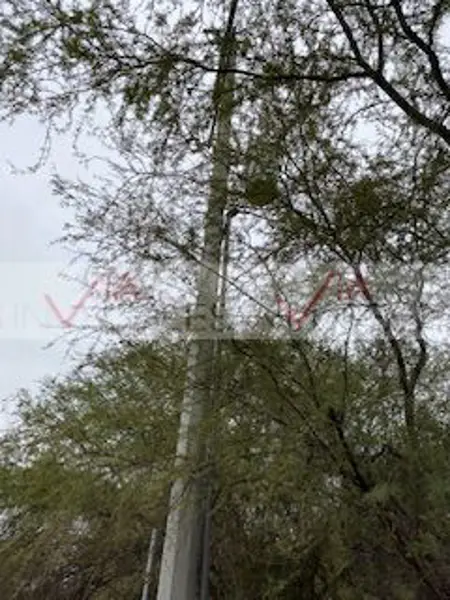 Terreno en venta en Valle Hidalgo (La Cotorra), Montemorelos — foto 2 de 9