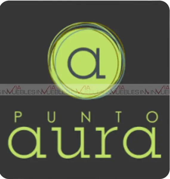 Punto Aura