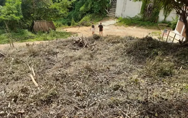Terreno en venta en Mazunte, Santa María Tonameca — foto 3 de 7