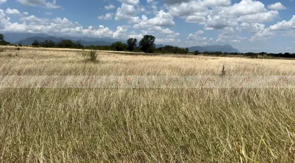 Terreno en venta en Vista de Allende, Allende — foto 3 de 9