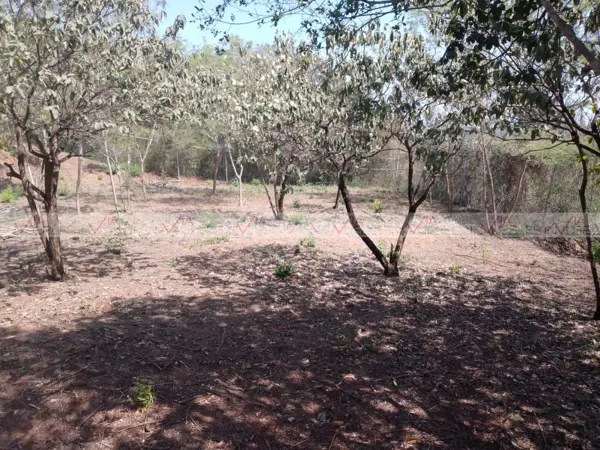 Terreno en venta en Colinas de Allende, Allende — foto 2 de 16