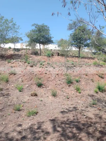 Terreno en venta en Colinas de Allende, Allende — foto 3 de 16